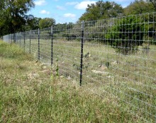 T Fence Post Galvanized steel T post