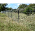 Used Metal Steel Fencing T Post Wholesale