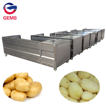 Lotus Washer Cleaner Lotus Root Washing Polishing Machine