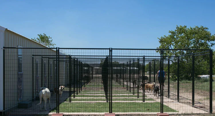 Custom Heavy Duty Strong Large Breed Dog Boarding Kennel