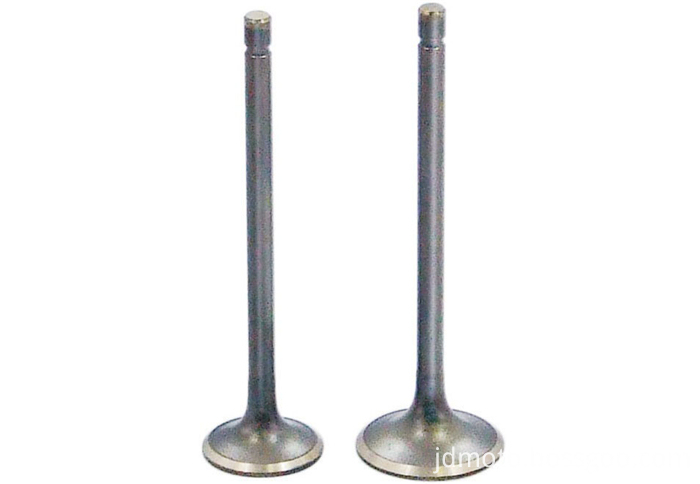 intake and exhaust valve