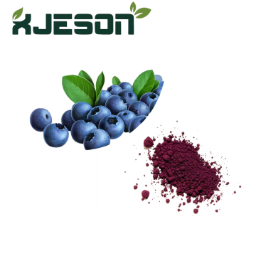 Organic Blueberry Fruit Powder