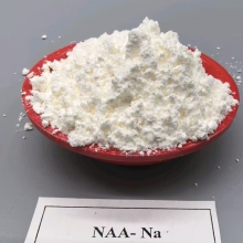 1-Naphthaleneacetic acid sodium salt (NAA-Na) application