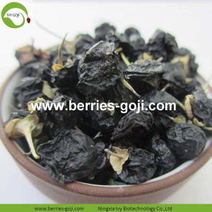 Bekalan Kilang Pemakanan Semula jadi Goji Berry Hitam