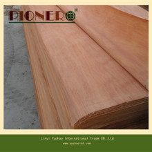 Plb Veneer Gurjan Veneer Keruing Veneer