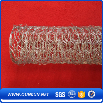 hexagonal wire mesh for Chicken Coop