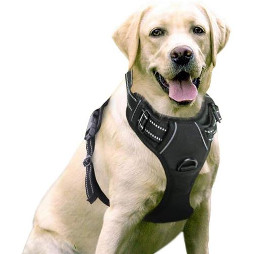 Hounds Design Freedom No Pull Dog Harness Personalizzato