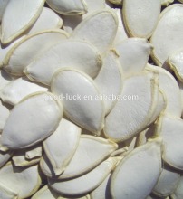 Snow White Pumpkin Seeds