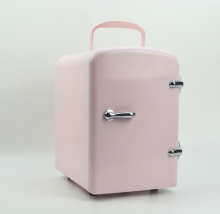 AC DC Portable OEM Skincare mini fridge