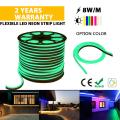 Corde néon LED de haute qualité couleur vert clair