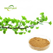 Ginkgo Biloba Extract Powder