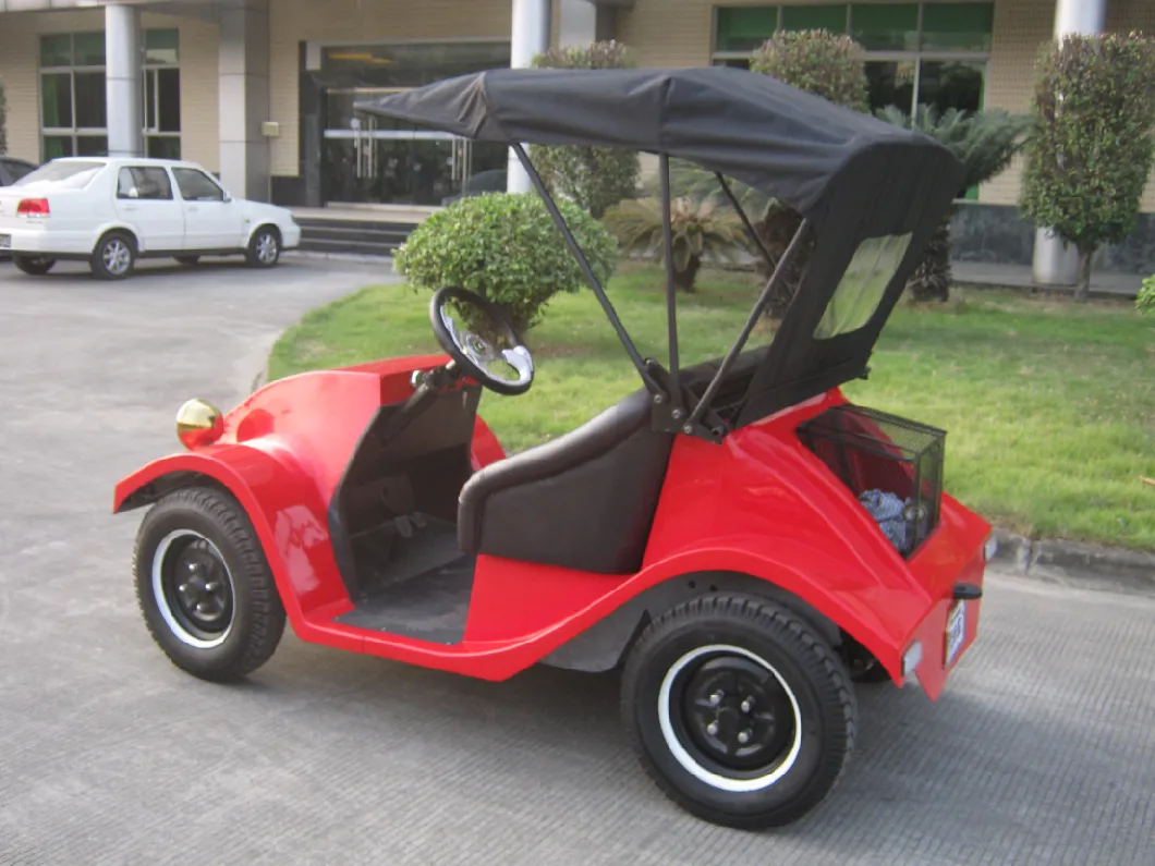 Top Sale 1.8kw 48V Motor-Driven Club Recreational Car