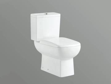 Split Toilet Washdown NA005