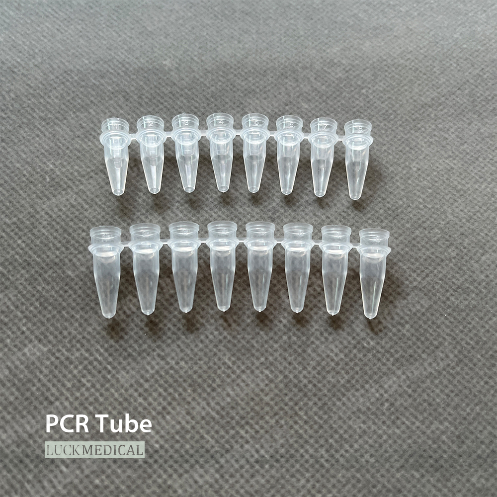 PCRIE PCROSSIBLE PCR 8 BRANDES DE TUBE PCR