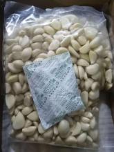 NITROGEN FILLED fresh peeled garlic