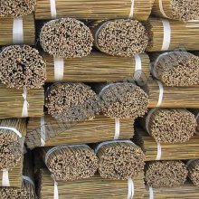 Tonkin Bamboo Canes for Horticulture
