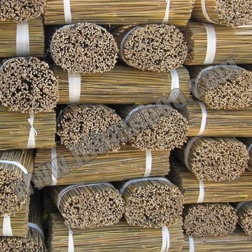 Tonkin Bamboo Canes for Horticulture