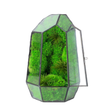 Micro-Landscape Glass Cover Moss Desktop Ecosystem Decoration