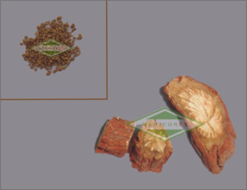 Radix Salviae Miltiorrhizae Concentrated Granules, Plant Extract