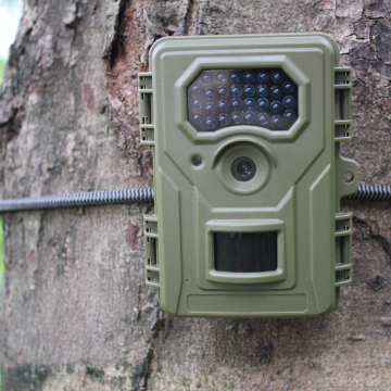 Wide Angle PIR Animal Detect Trail Camera