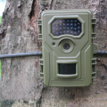 Câmera do jogo da caça da vida selvagem para a pesquisa