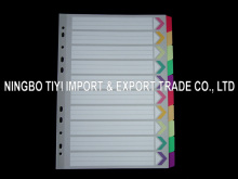Paper Dividers /Colors Tab Divider