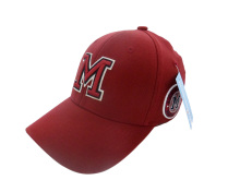 Flexfit Cap / Flexfit Hat /Cap /Hat /Baseball Cap /Sport Cap (13FLEX03)