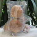 Good Taste Fermented Black Garlic 6 Cm Bulbs