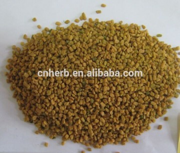 Common Fenugreek