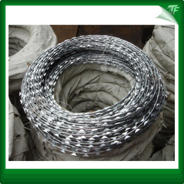 Galvanized Concertina Coils Razor Wire