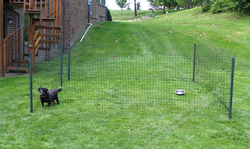 PVC Coated Dog Fence