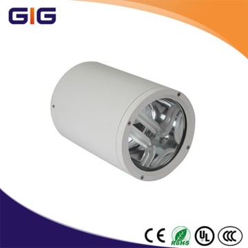 225mm diameter aluminum die cast down light