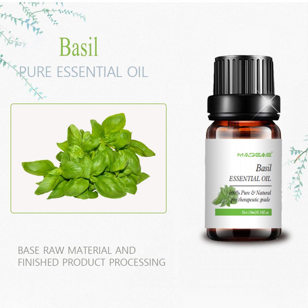 Basil biologique à huile essentielle Massage soluble dans l&#39;eau