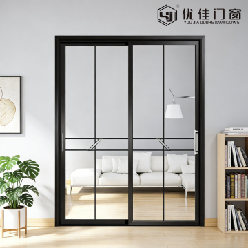 Minimalist Black Frame Two Panel Glass Sliding Door