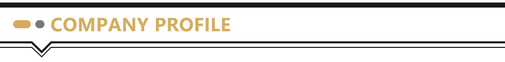 Company Profile Company Profile