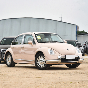 2024 High Quality Electric Vehicles: Ora Ballet Cat and Ora Punk Cat