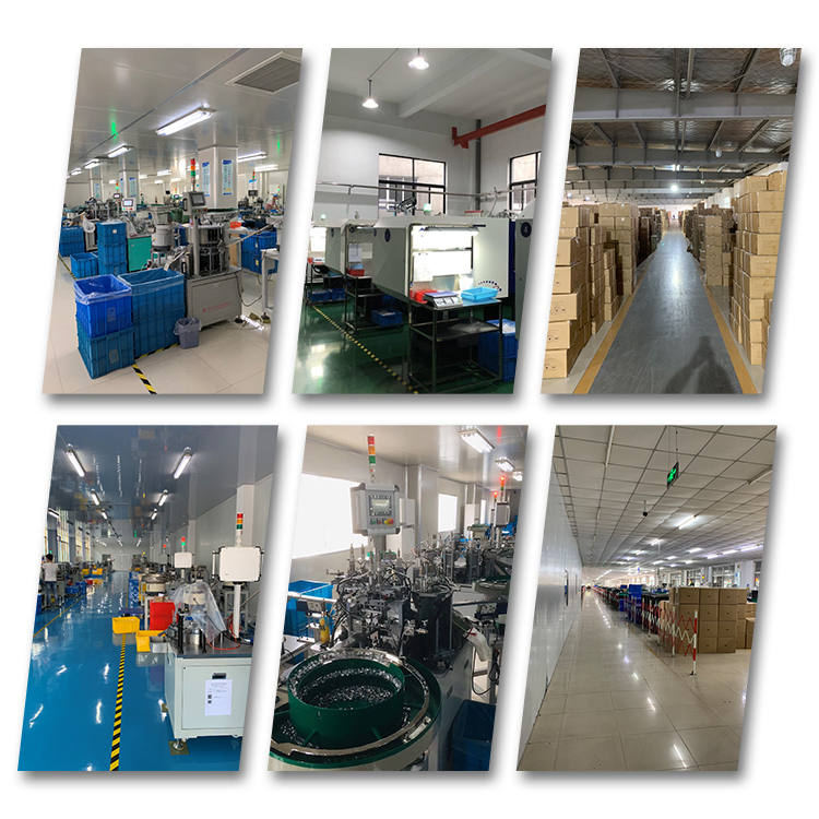 Company Profile Company Profile