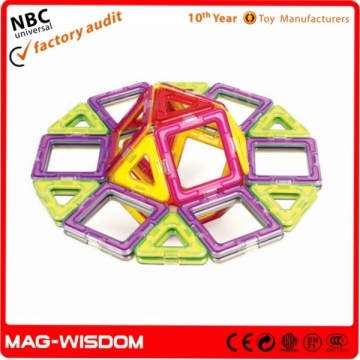 Baby Mag Wisdom Magnetic Toy