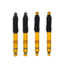 High Performance Coilover Shock Absorber for 4x4 - Swift F10 Foam Coilovers