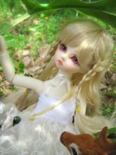 BJD Holly 27cm Girl Ball Jointed Doll