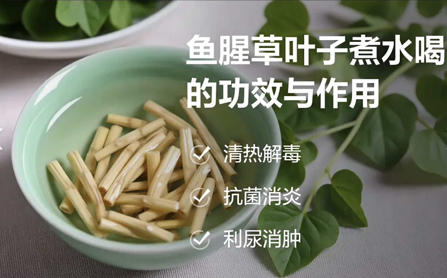 Поставщик порошка экстракта хауттюйнии кордаты Houttuynia Cordata Extract Powder Supplier