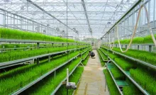 Smart Farm in-Solar Greenhouse Film Grow Containers