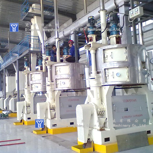 Cold automatic vegetable oil extractor machine