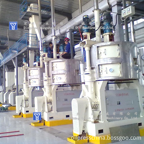 Oil Press Machine Factory