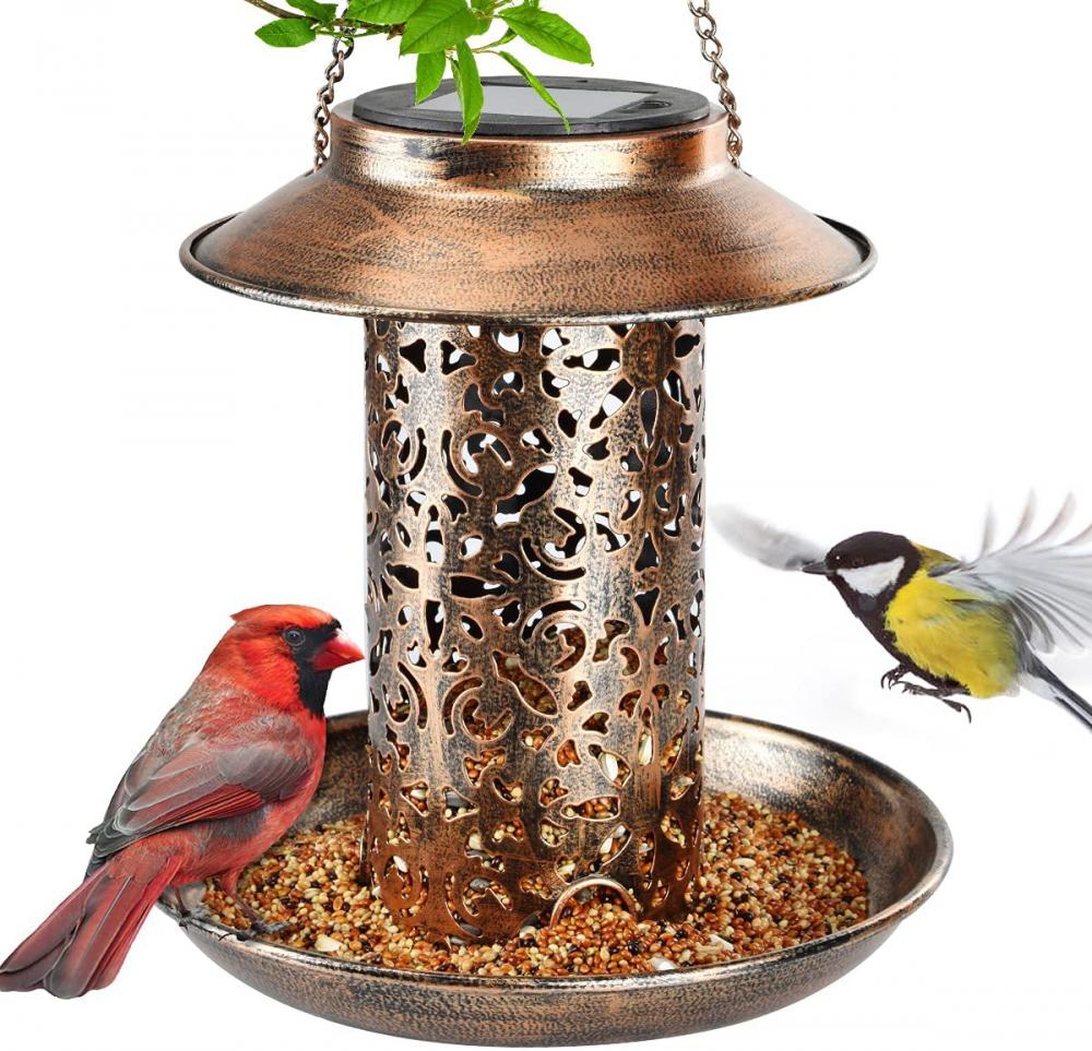 Logam Bukti Tupai Menggantung Birdfeeders Liar