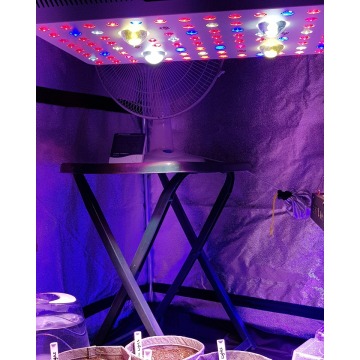 Phlizon 450W COB LED Grow Lights