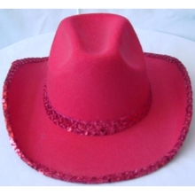 cowboy hat