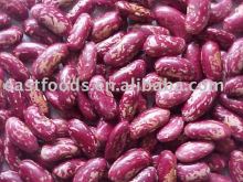 Light Red Speckled Kidney Beans