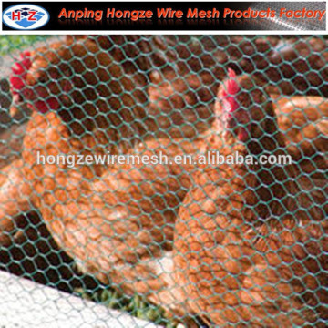 PVC coated hexagonal wire mesh 3/4'' poultry mesh