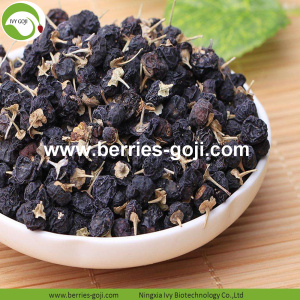 Nhà máy cung cấp khô Wild Goji đen Berry